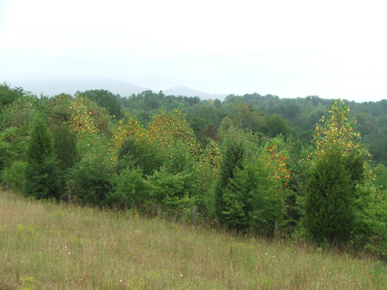 3654 Edwardsville Road Hardy, VA 24101 - Photo 3 of 4 a view of a lake with green space