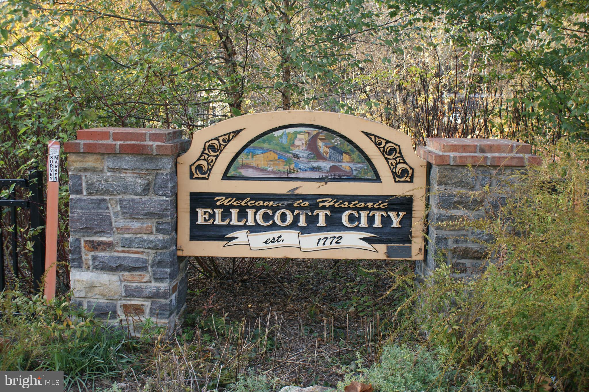 730 Hollow Road Ellicott City, MD 21043 - Photo 7 of 16 Community