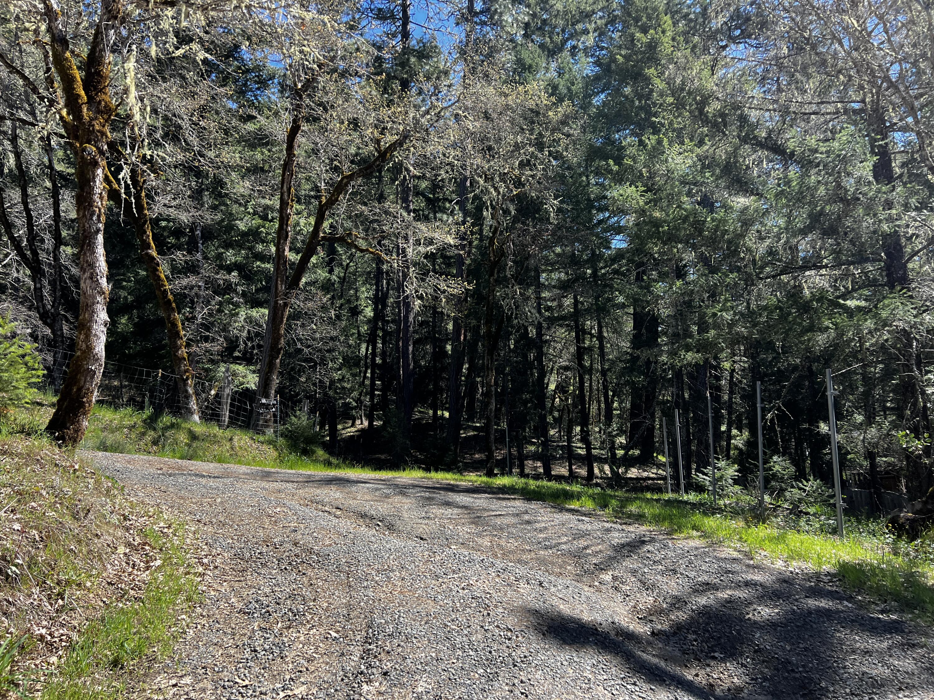 210 Mad River Road Mad River, CA 95552 - Photo 5 of 70