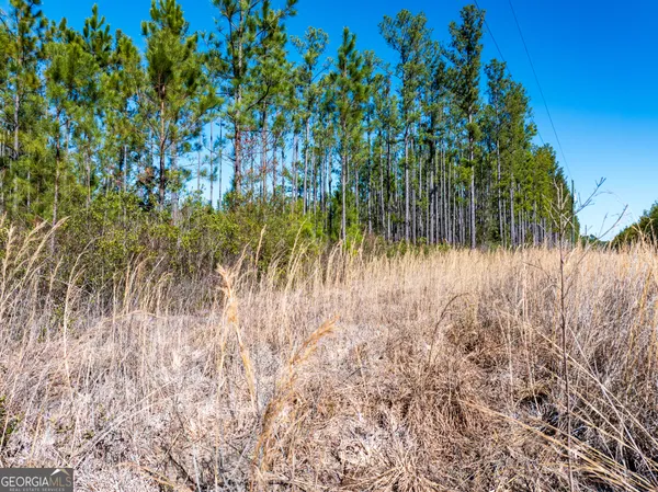 $92,000 | 15.56-acres North Mcdonald Road, Waycross, GA 31503