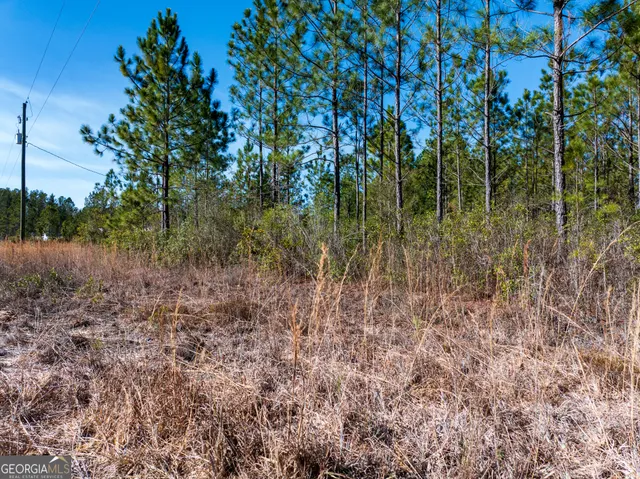 $98,000 | 15.56-acres North Mcdonald Road, Waycross, GA 31503