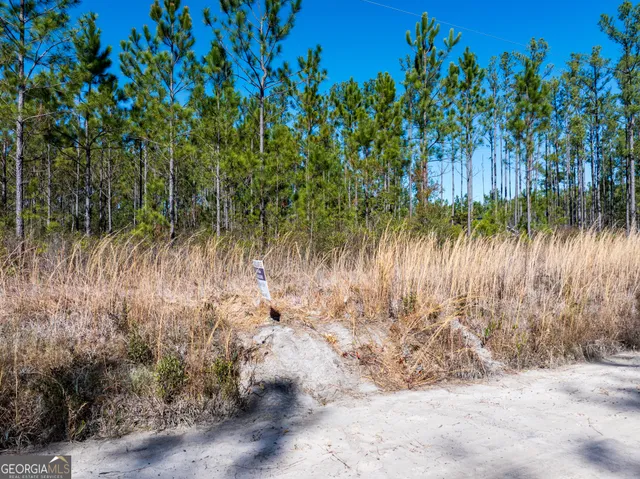 $98,000 | 15.56-acres North Mcdonald Road, Waycross, GA 31503