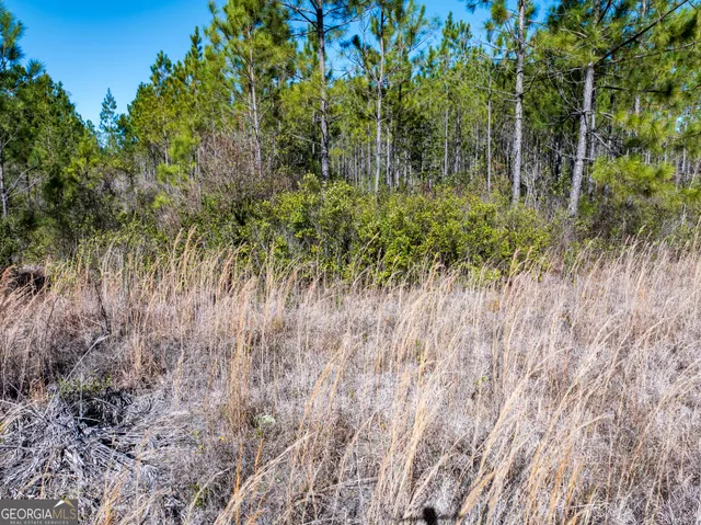 $98,000 | 15.56-acres North Mcdonald Road, Waycross, GA 31503