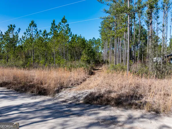 $92,000 | 15.56-acres North Mcdonald Road, Waycross, GA 31503