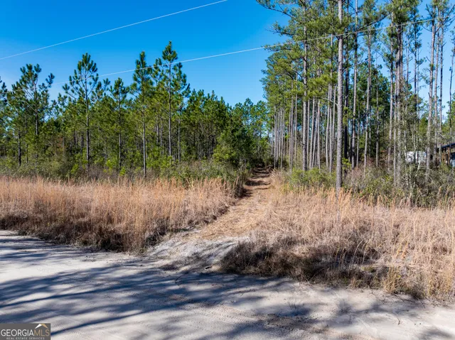 $98,000 | 15.56-acres North Mcdonald Road, Waycross, GA 31503