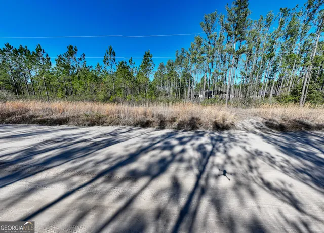 $98,000 | 15.56-acres North Mcdonald Road, Waycross, GA 31503