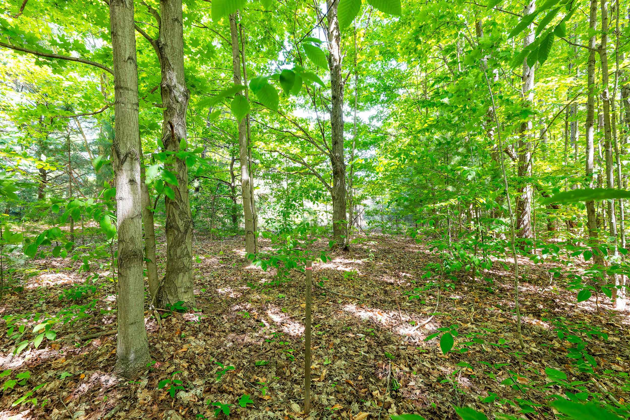 7764 South Weldon Road Thompsonville, MI 49683 - Photo 13 of 15