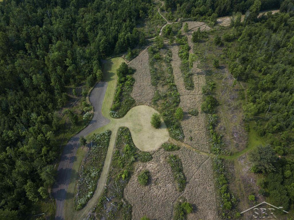 66-acres North Geneva Road Coleman, MI 48618 - Photo 8 of 44 Gallery Image 8