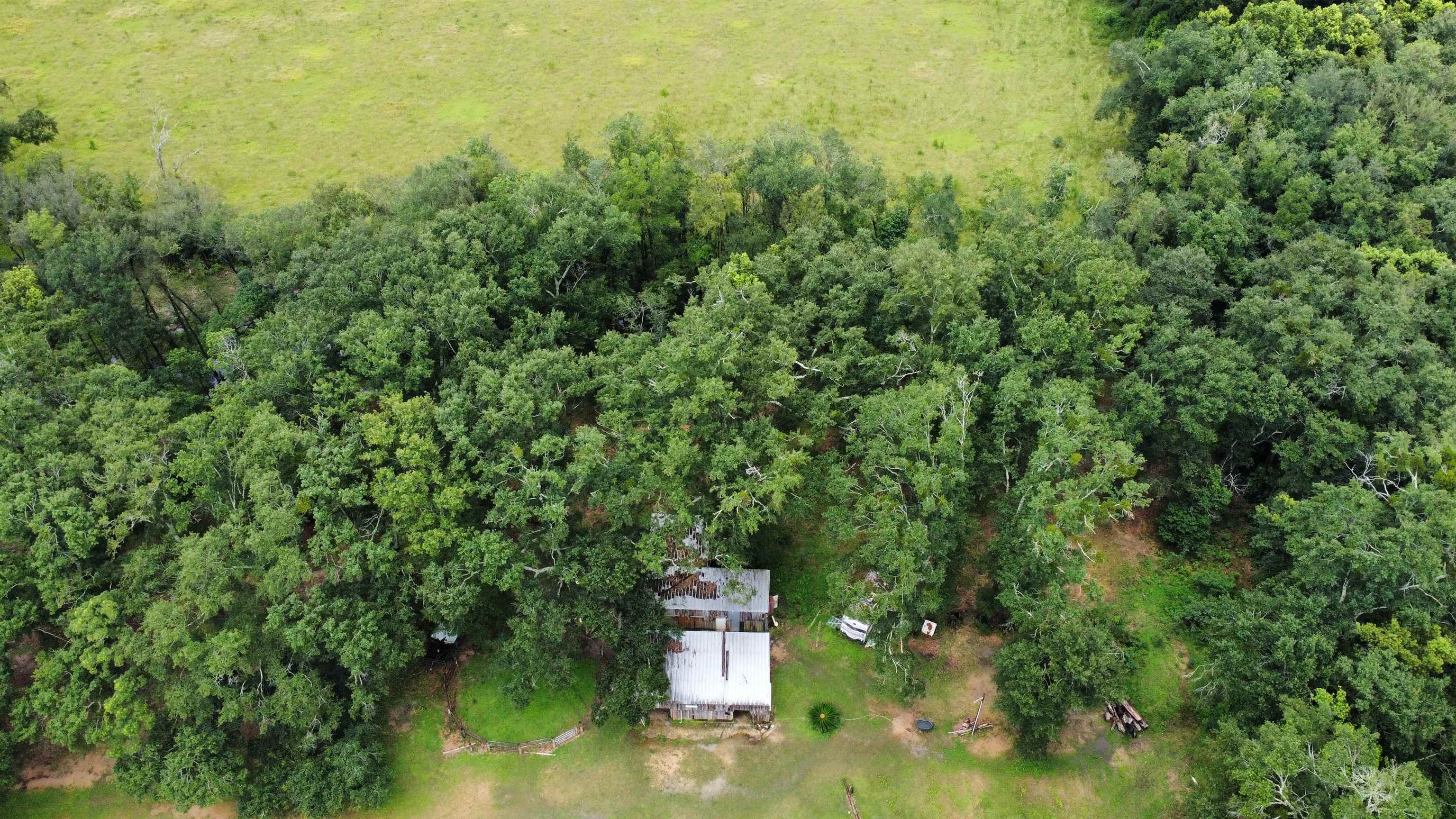 18485 Kendrick Road Robertsdale, AL 36567 - Photo 7 of 17