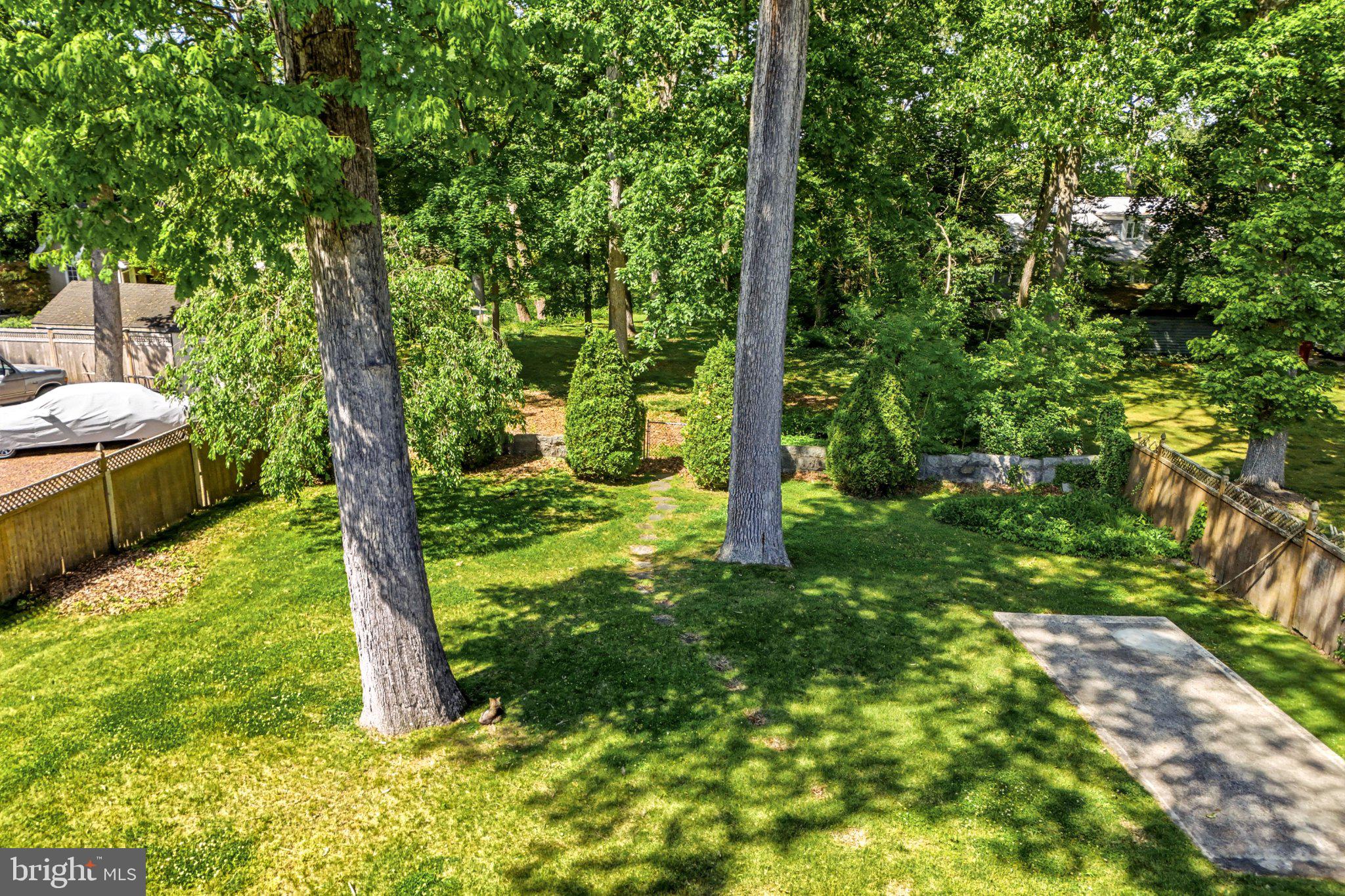 23 Lake Street Bridgeton, NJ 08302 - Photo 46 of 64 Lush green oasis with towering trees.