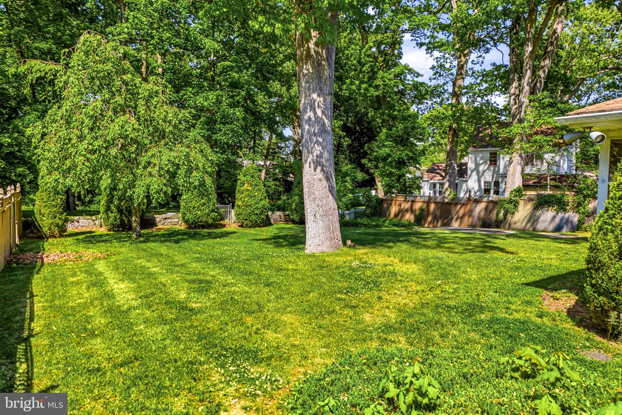 23 Lake Street Bridgeton, NJ 08302 - Photo 47 of 64 Lush green oasis with towering trees.