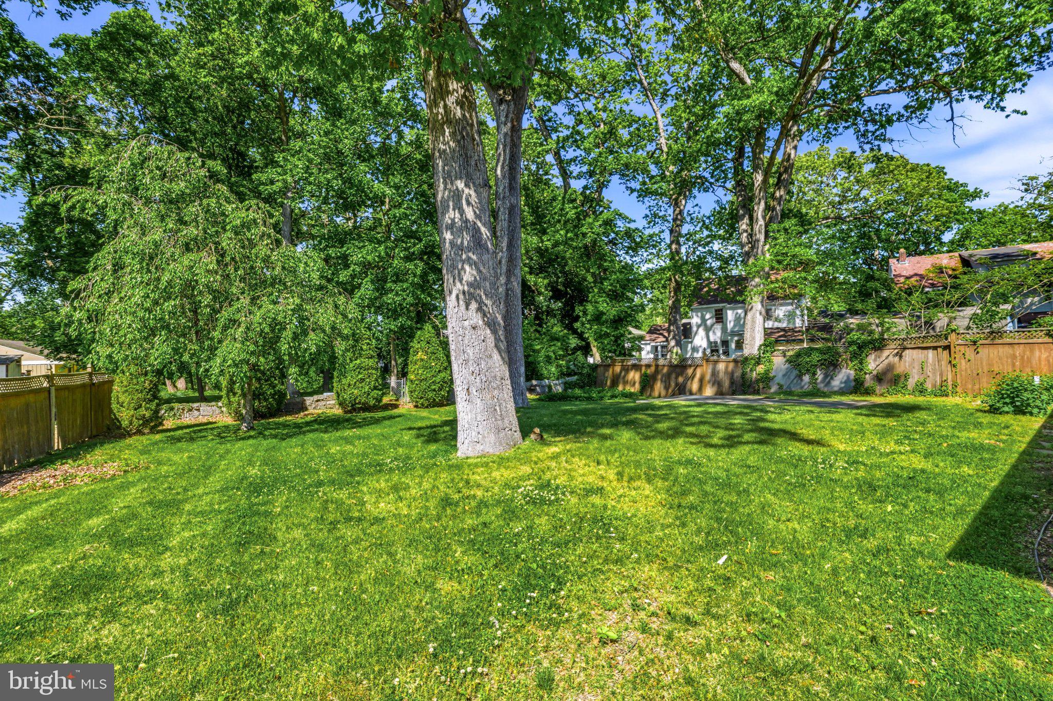 23 Lake Street Bridgeton, NJ 08302 - Photo 48 of 64 Lush green oasis with towering trees.