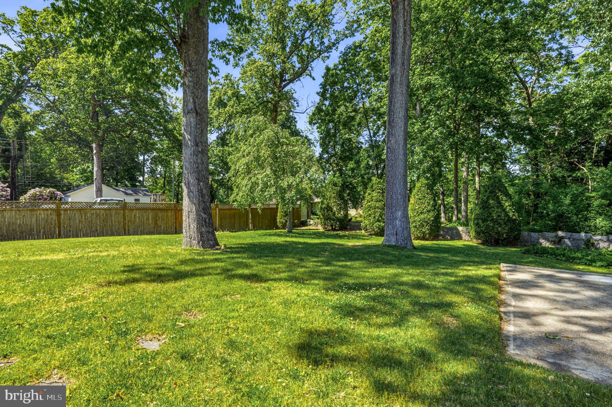 23 Lake Street Bridgeton, NJ 08302 - Photo 49 of 64 Spacious, serene backyard oasis.