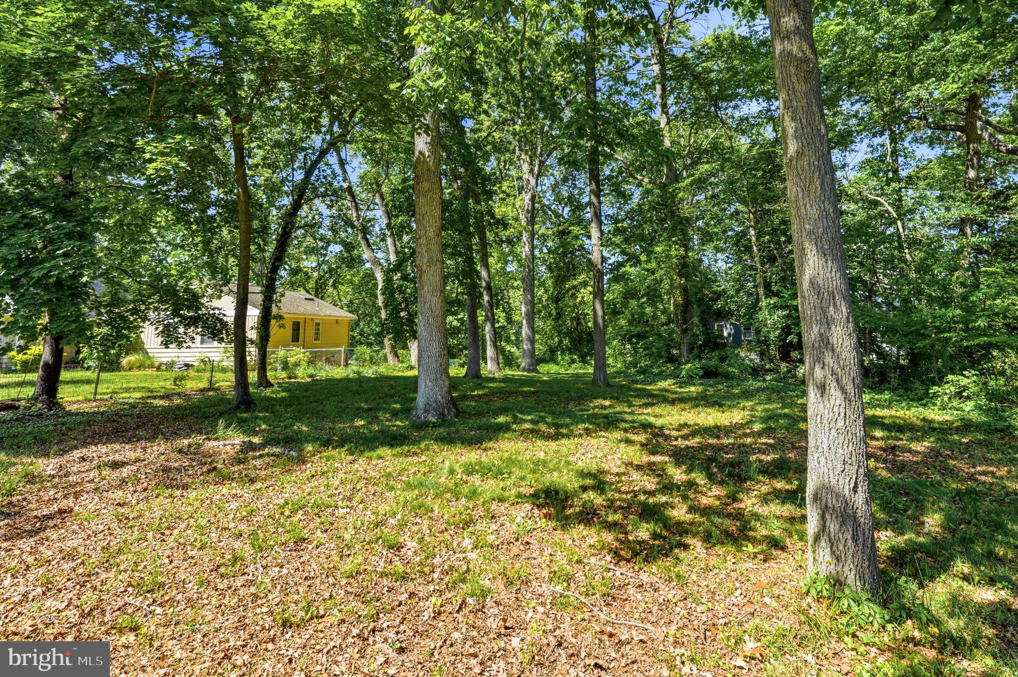 23 Lake Street Bridgeton, NJ 08302 - Photo 51 of 64 Serene wooded retreat awaits you.