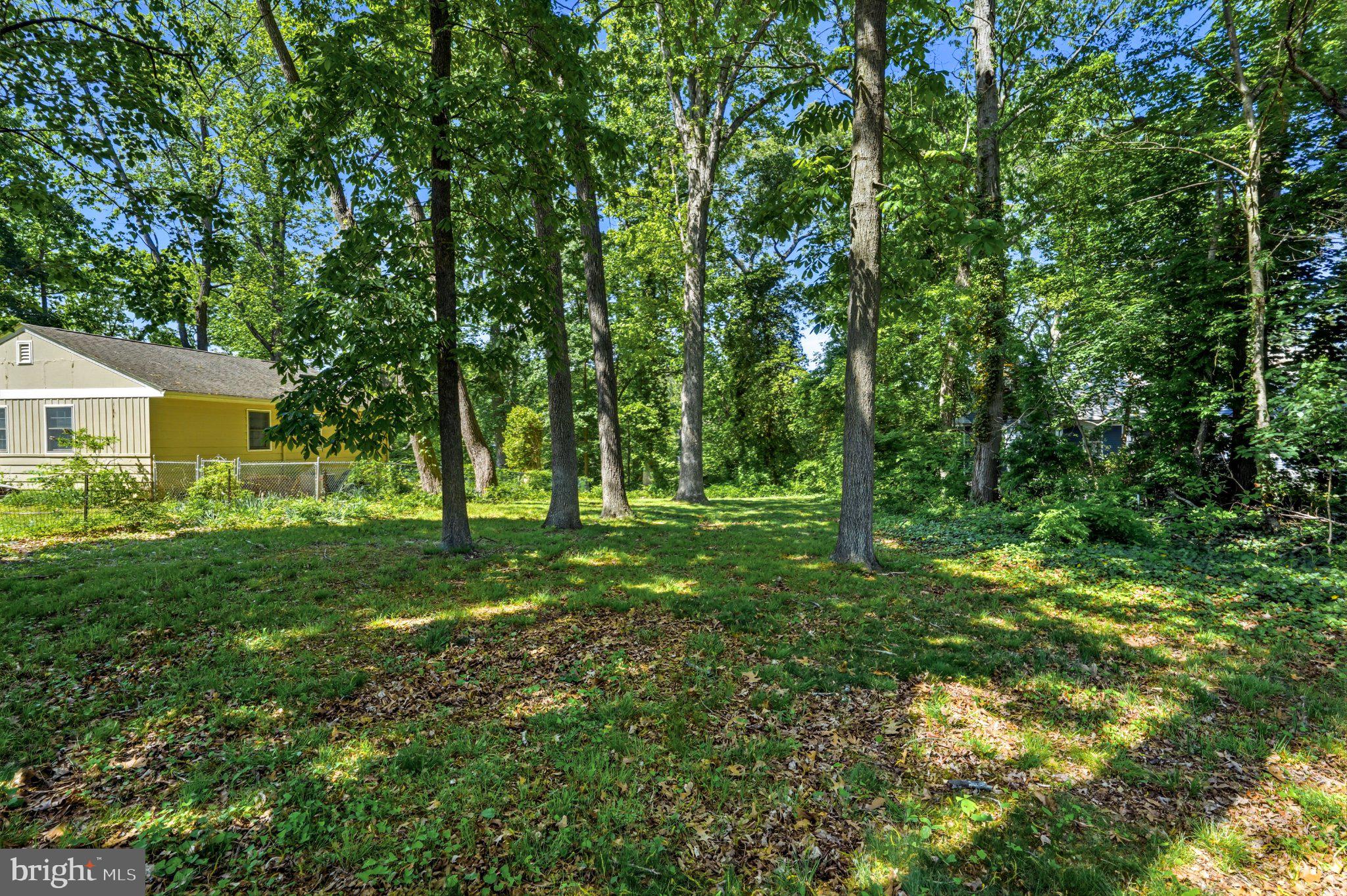 23 Lake Street Bridgeton, NJ 08302 - Photo 52 of 64 Serene wooded retreat awaits you.