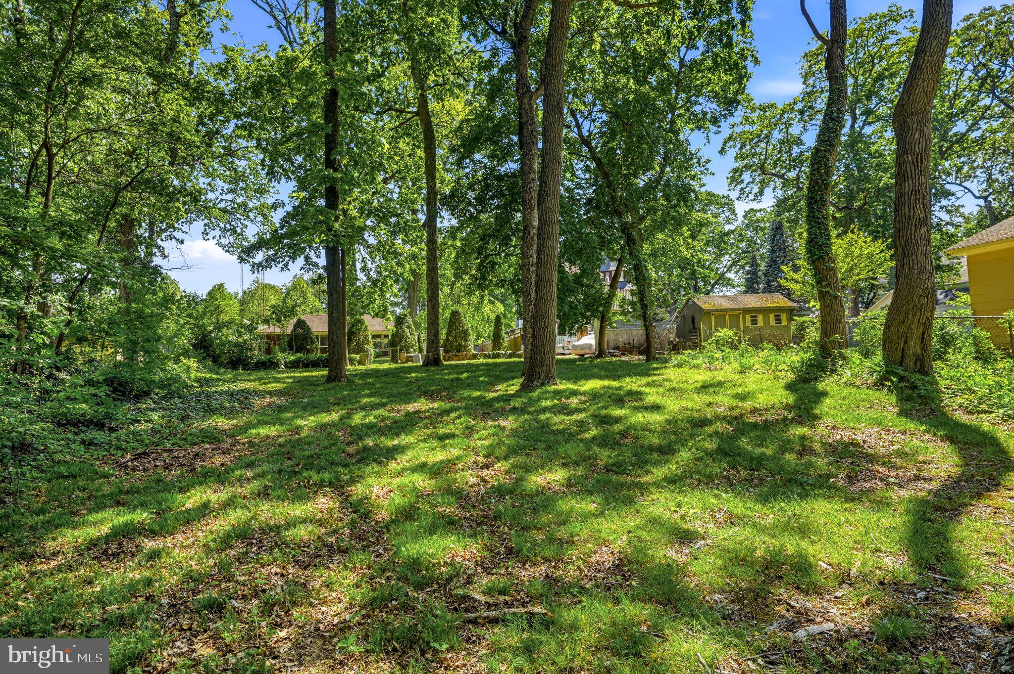 23 Lake Street Bridgeton, NJ 08302 - Photo 53 of 64 Serene wooded retreat awaits you.