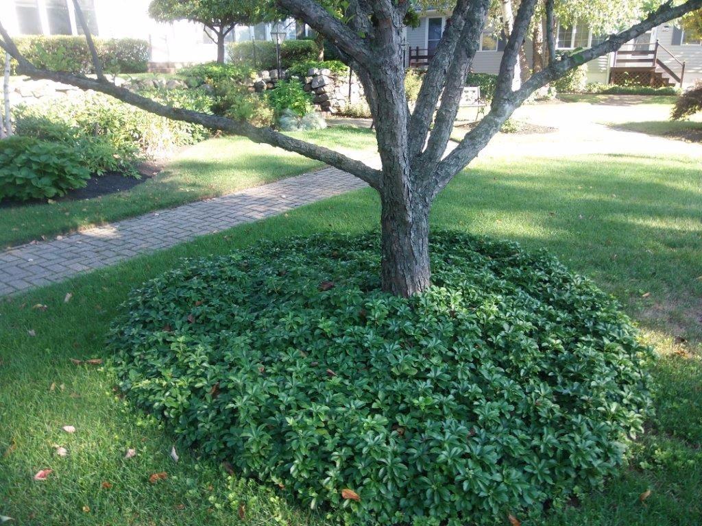 249 Shore Road, Unit 2 Ogunquit, ME 03907 - Photo 10 of 15 Photo