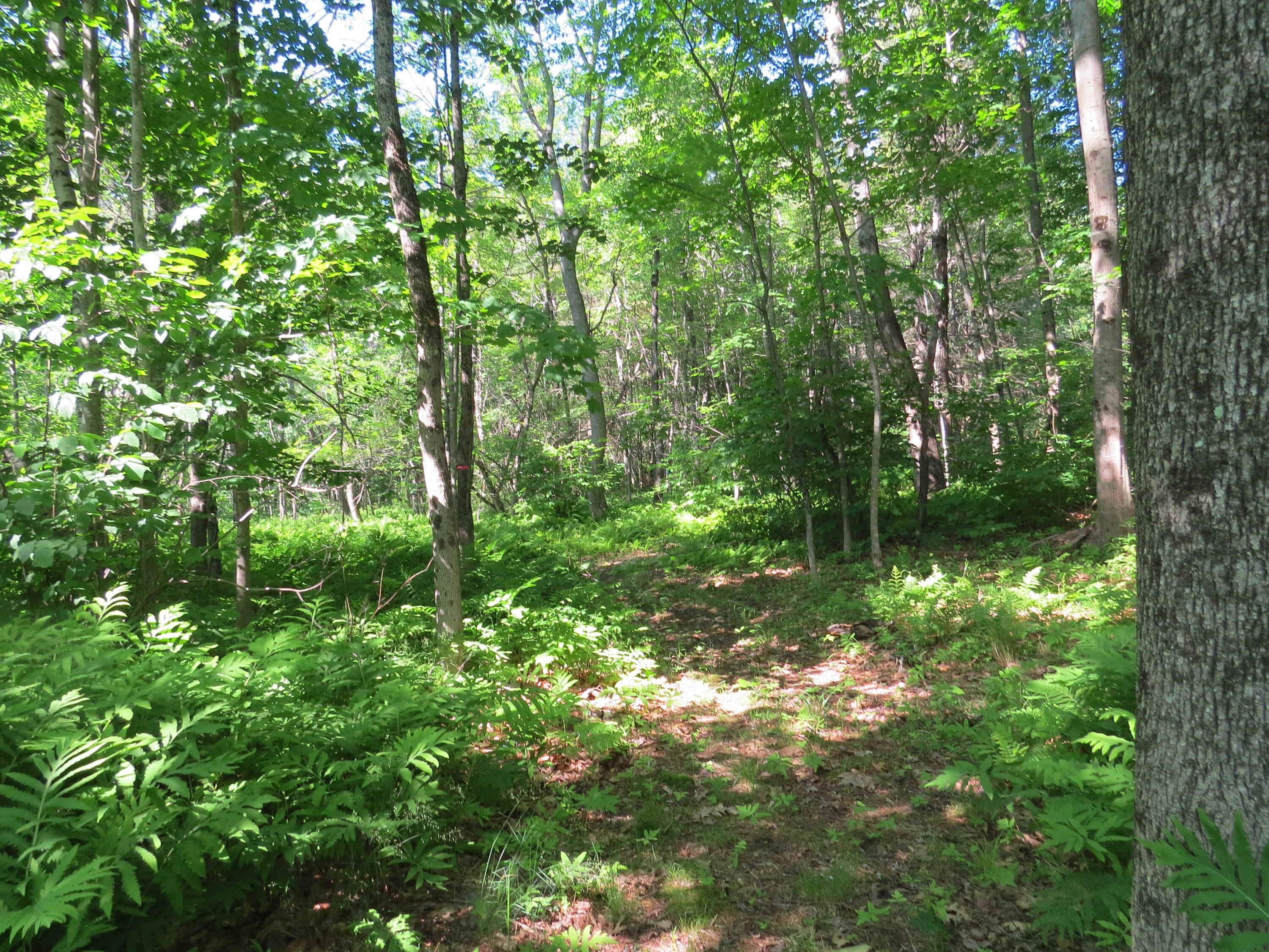 154 River Road Benton, ME 04901 - Photo 23 of 23 IMG_0032