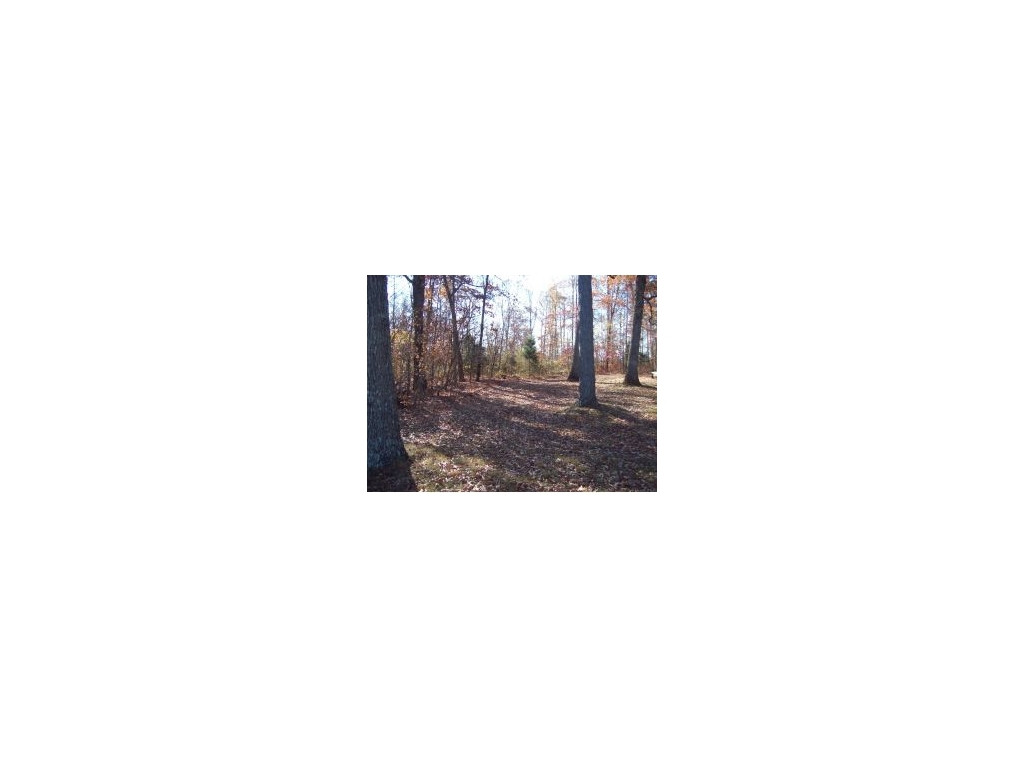 0 Warrensburg Road, Unit 2 Mosheim, TN 37818 - Photo 1 of 1 Photo 1