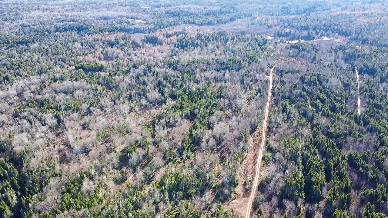 04 Lots Road Whiting, ME 04691 - Photo 2 of 12 aerial view