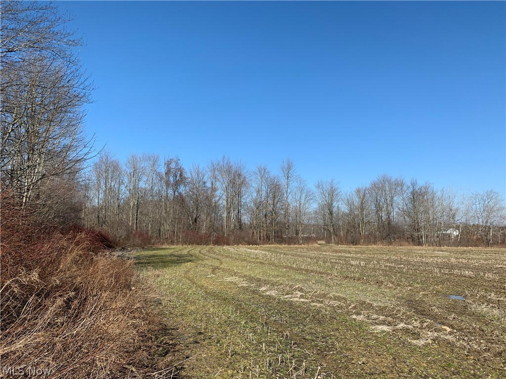 Brown Road Jefferson, OH 44047 - Photo 7 of 31 Gallery Image 7