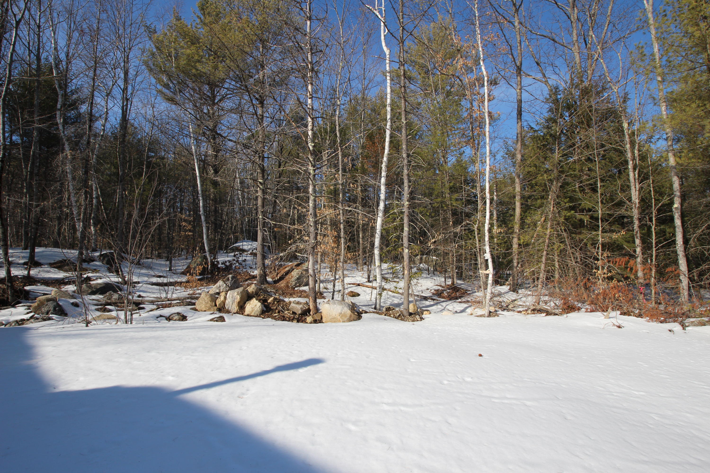 130 Libby Road, Unit LOT 2 West Newfield, ME 04095 - Photo 20 of 41 Yard