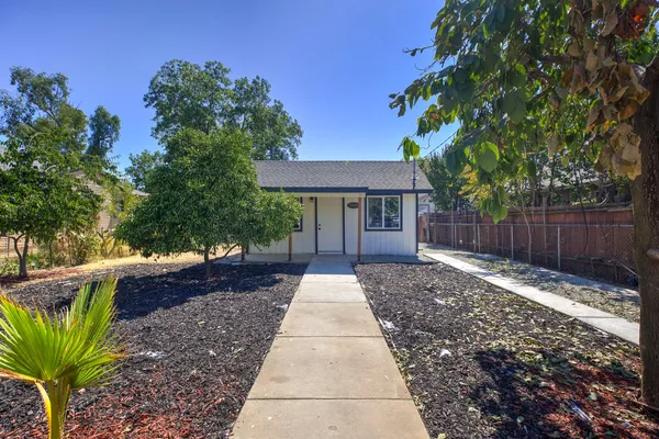 a view of a yard with plants and large trees