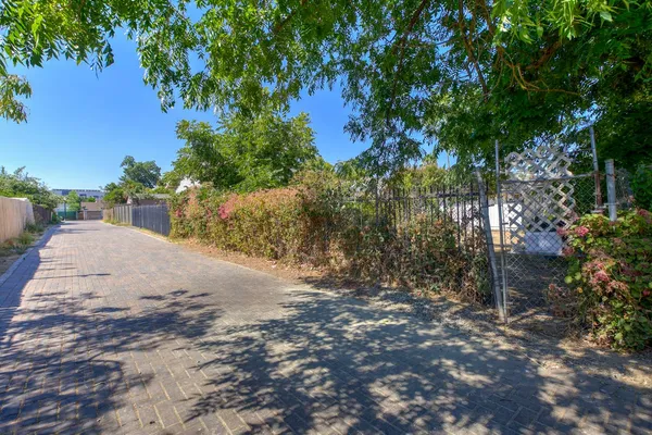 a view of a yard with plants and trees
