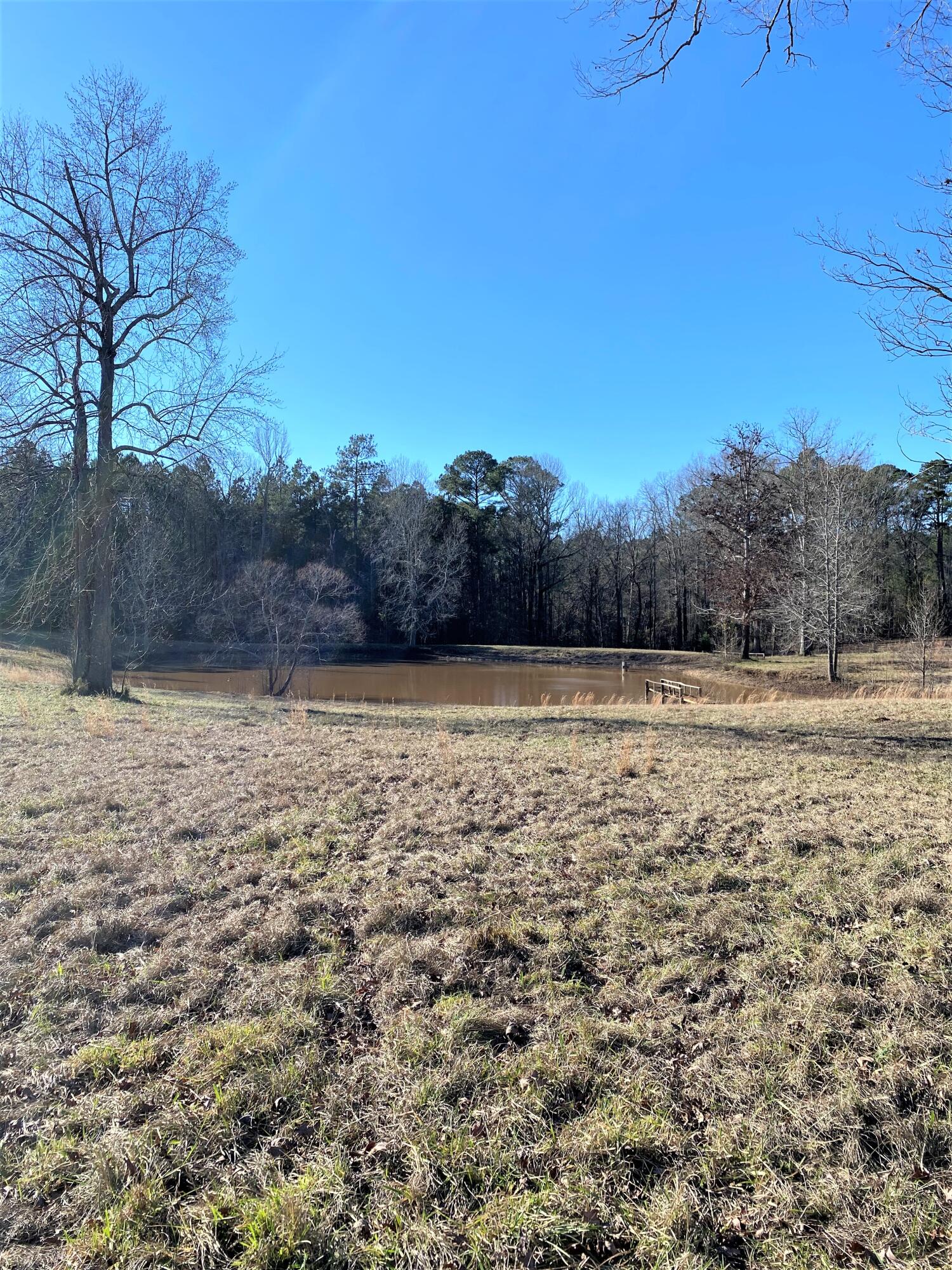 3775 Washington Road Thomson, GA 30824 - Photo 13 of 36 Back pasture with stocked pond