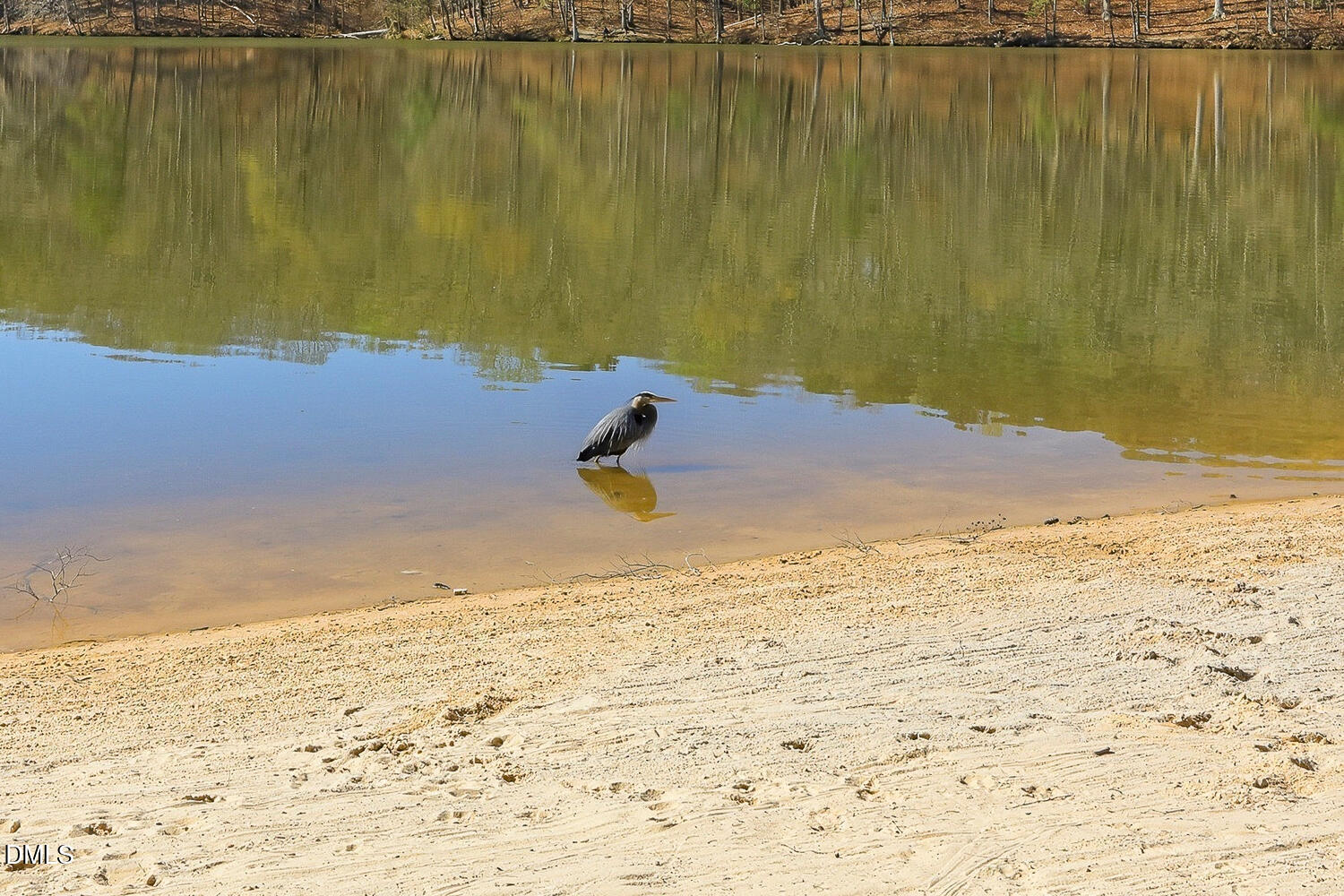 1220 Stoneferry Lane Raleigh, NC 27606 - Photo 38 of 40