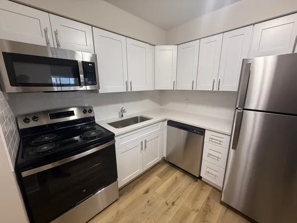 $2,500 | 110 North Kenilworth Avenue, Unit 4E, Oak Park, IL 60301