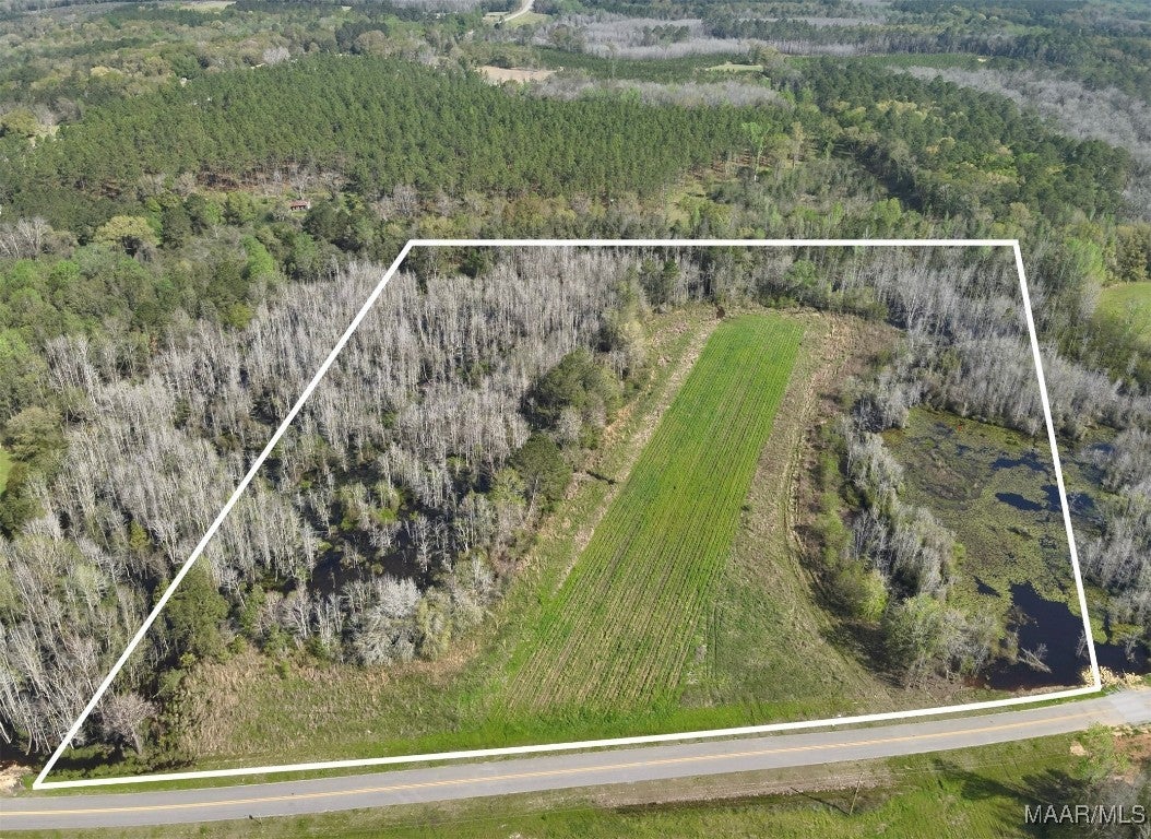 13.5-acres Red Oak Road Florala, AL 36442 - Photo 1 of 13 Gallery Image 1