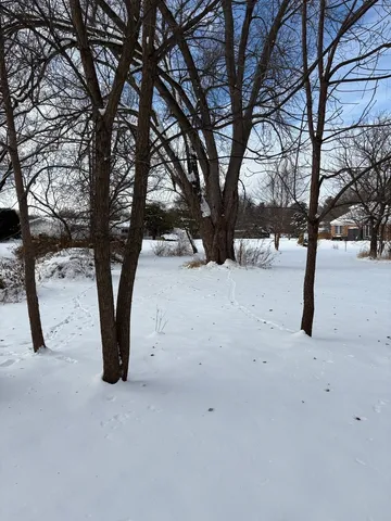 a view of road with large trees