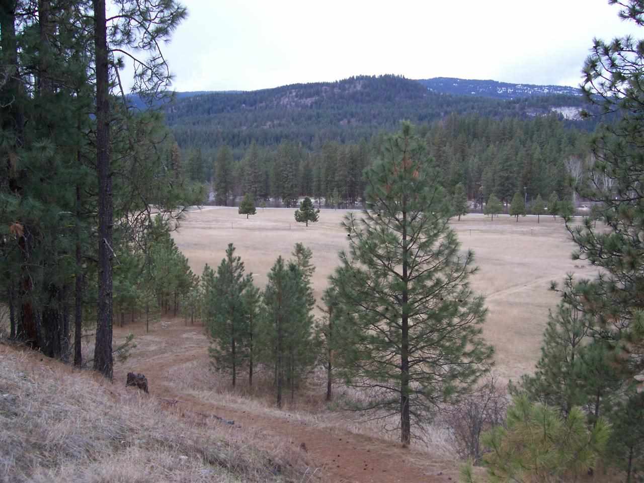 0 Barstow Bridge Road Kettle Falls, WA 99141 - Photo 1 of 12 Gallery Image 1