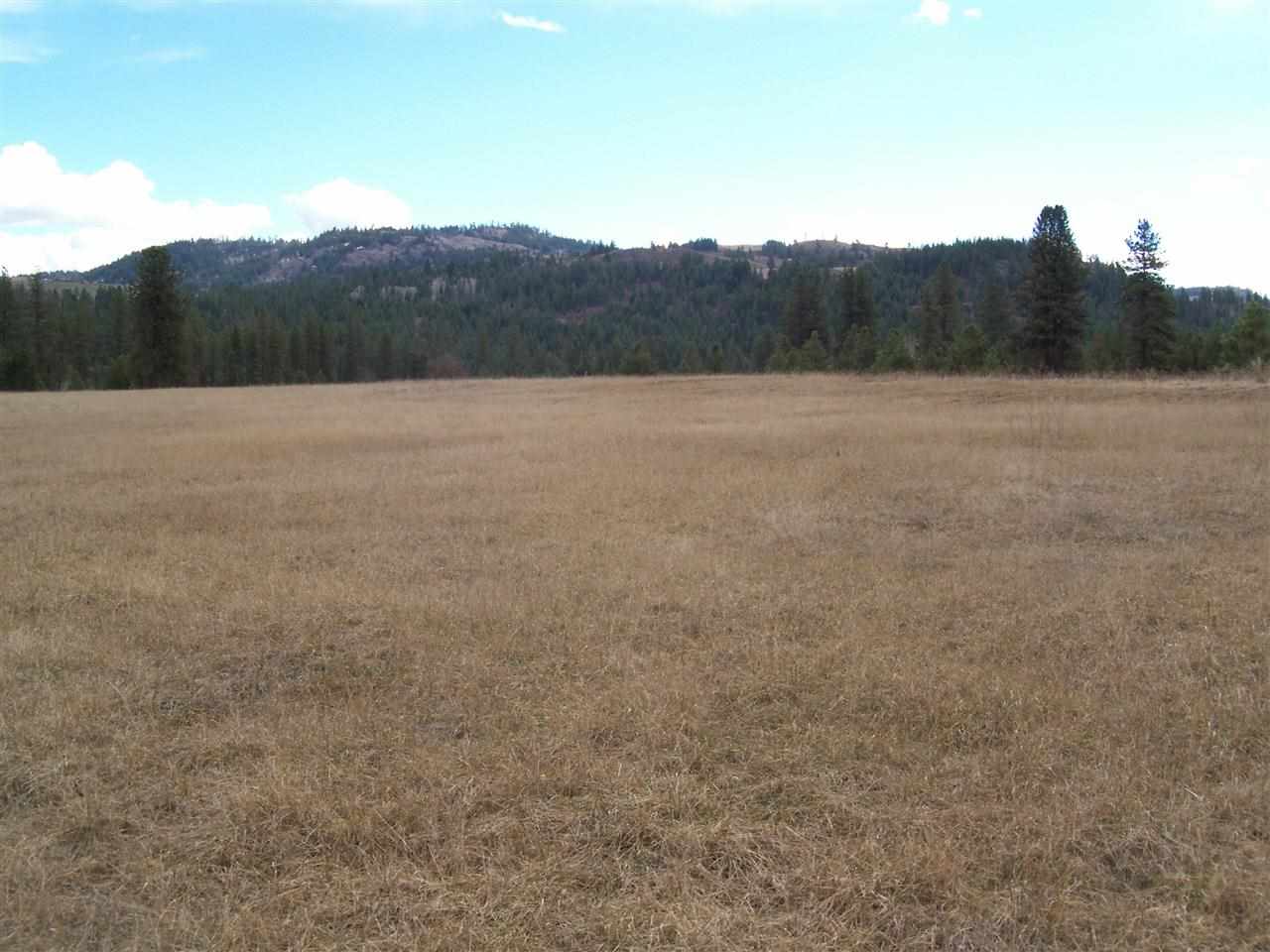 0 Barstow Bridge Road Kettle Falls, WA 99141 - Photo 2 of 12 Gallery Image 2
