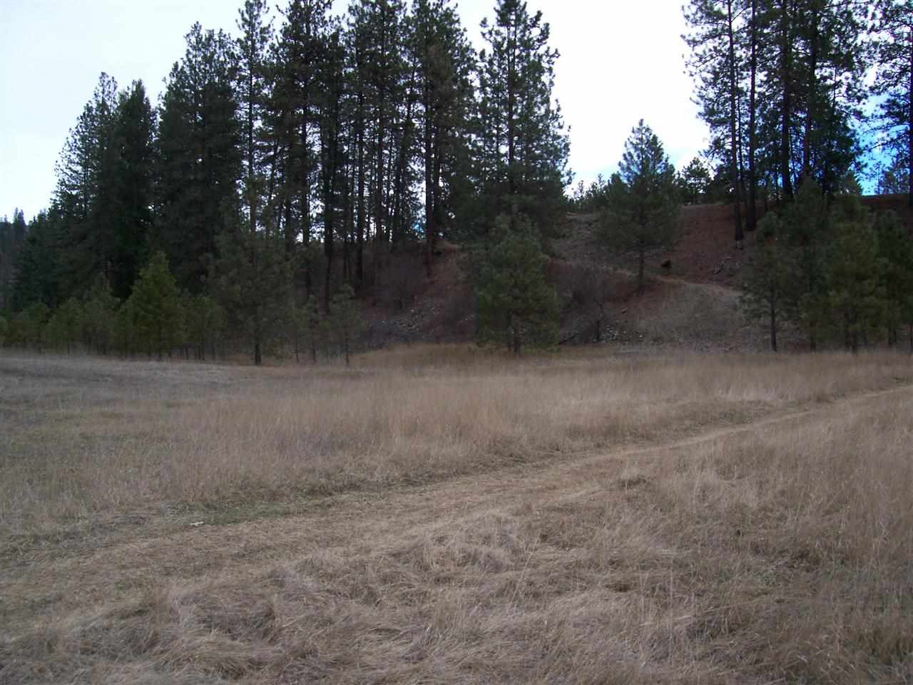 0 Barstow Bridge Road Kettle Falls, WA 99141 - Photo 12 of 12 Gallery Image 12