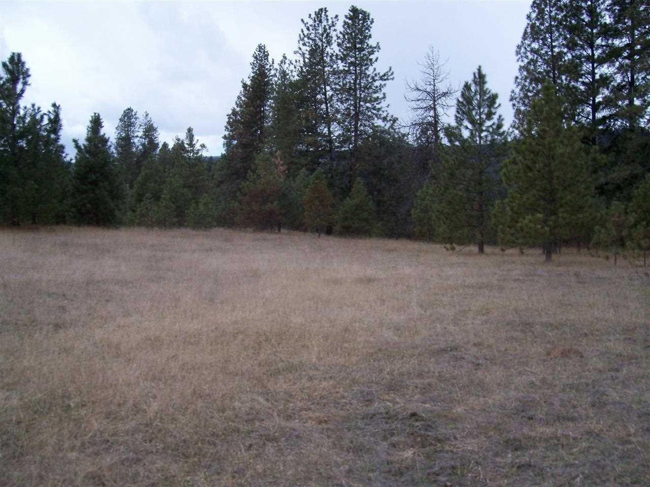 0 Barstow Bridge Road Kettle Falls, WA 99141 - Photo 3 of 12 Gallery Image 3
