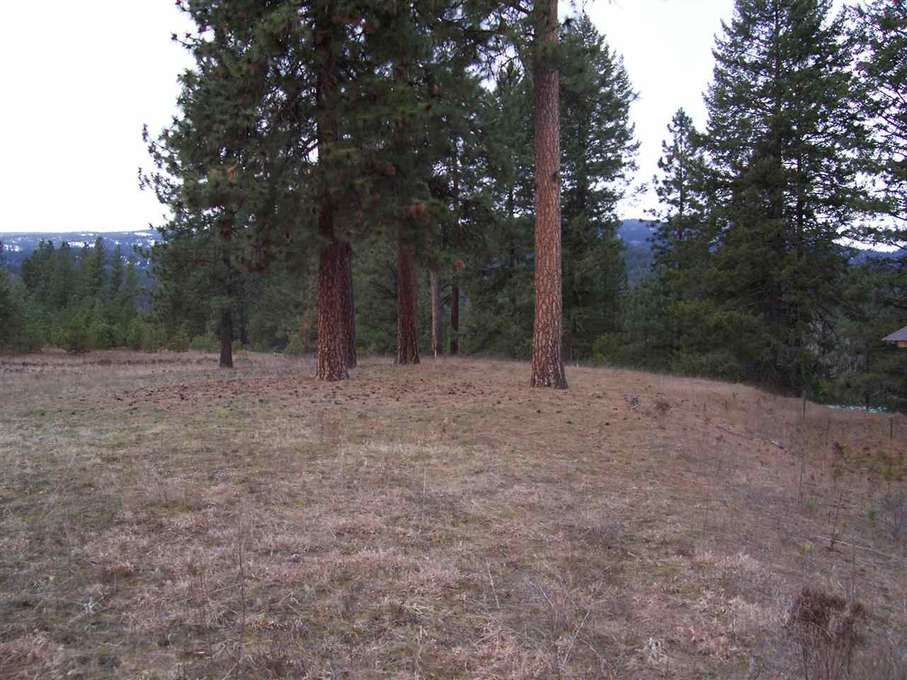 0 Barstow Bridge Road Kettle Falls, WA 99141 - Photo 4 of 12 Gallery Image 4