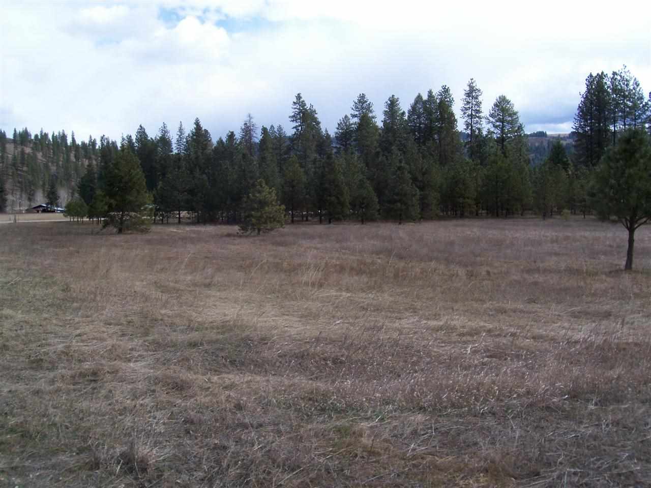 0 Barstow Bridge Road Kettle Falls, WA 99141 - Photo 7 of 12 Gallery Image 7