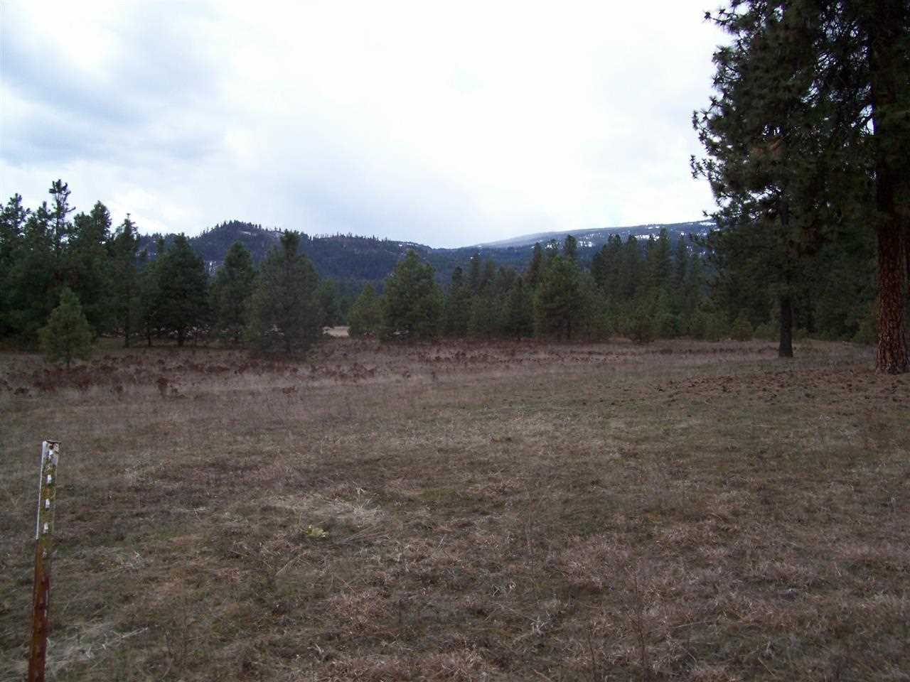 0 Barstow Bridge Road Kettle Falls, WA 99141 - Photo 8 of 12 Gallery Image 8