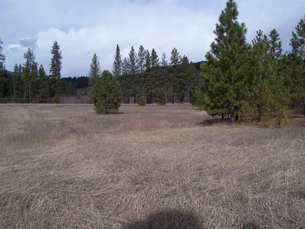 0 Barstow Bridge Road Kettle Falls, WA 99141 - Photo 9 of 12 Gallery Image 9