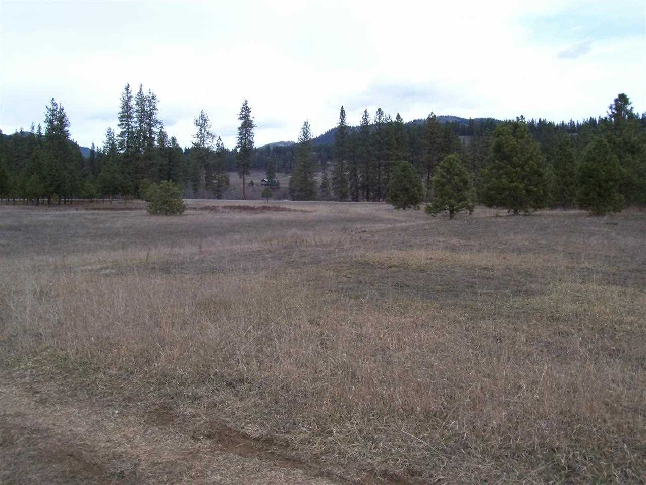 0 Barstow Bridge Road Kettle Falls, WA 99141 - Photo 10 of 12 Gallery Image 10