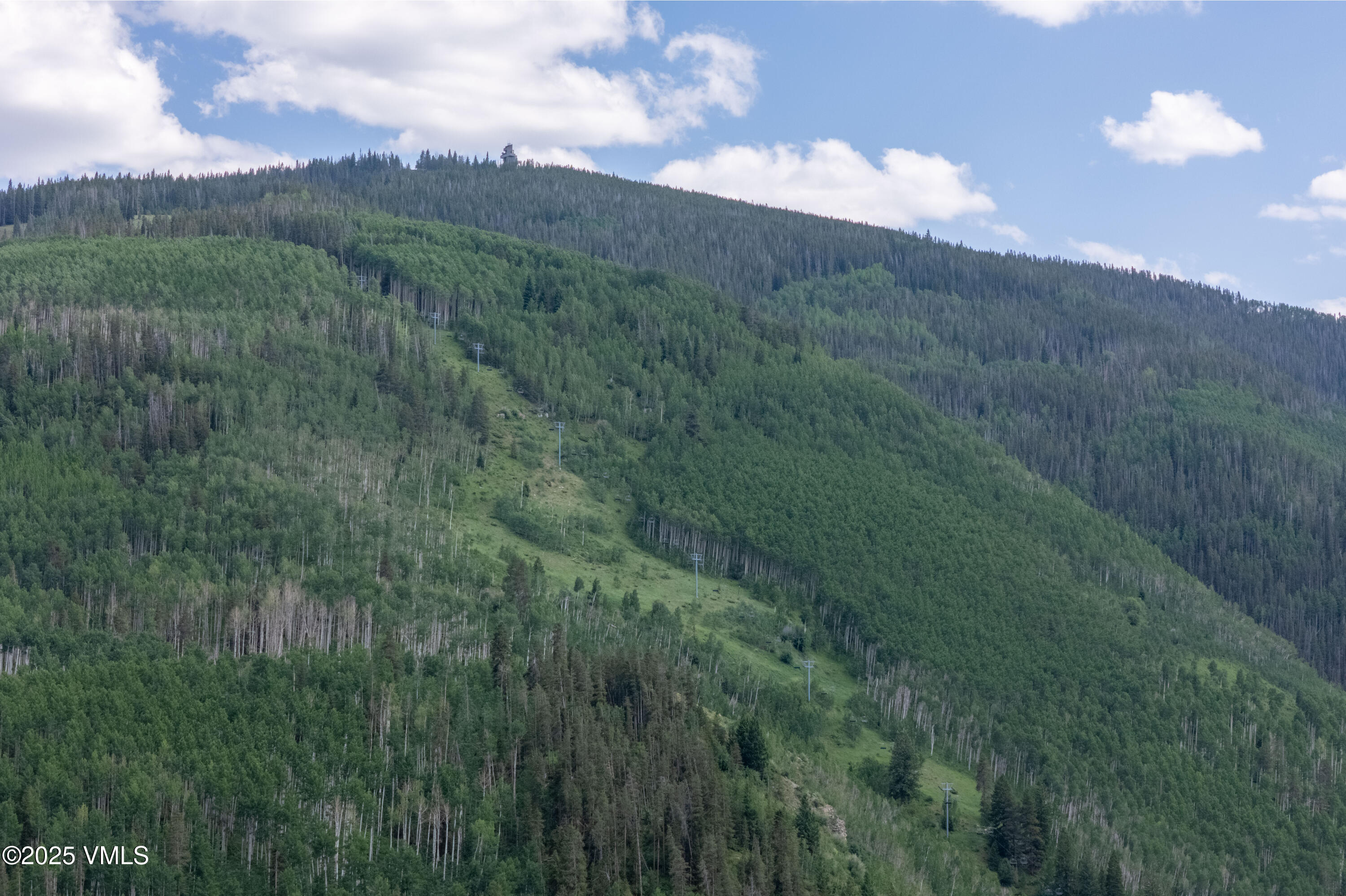 1100 North Frontage Road West, Unit 2504 Vail, CO 81657 - Photo 35 of 35 a view of a lush green forest with lots of trees