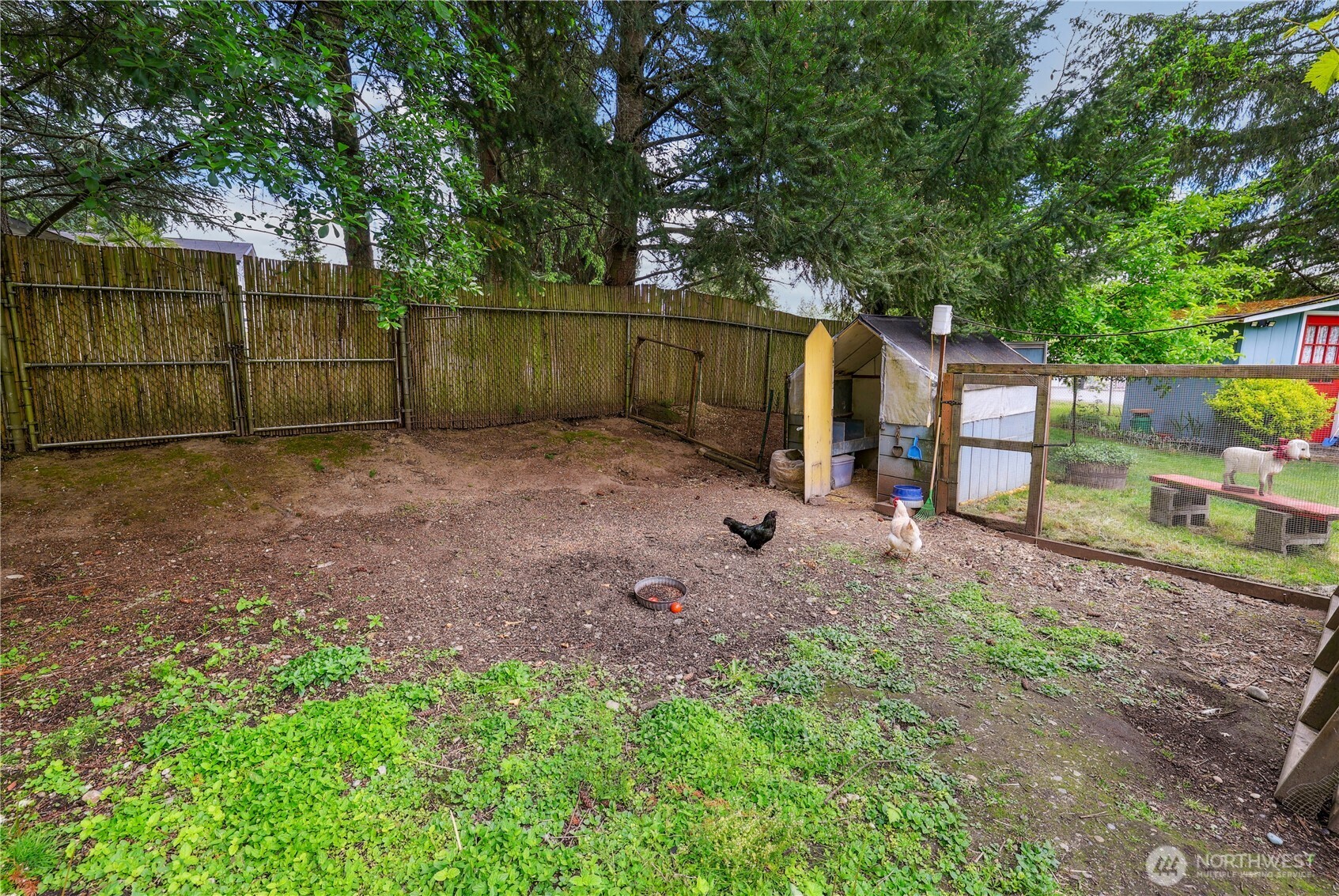 6834 Condor Loop Northeast Olympia, WA 98516 - Photo 23 of 27 Gallery Image 23