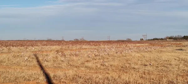 a view of ocean and covered with snow in back