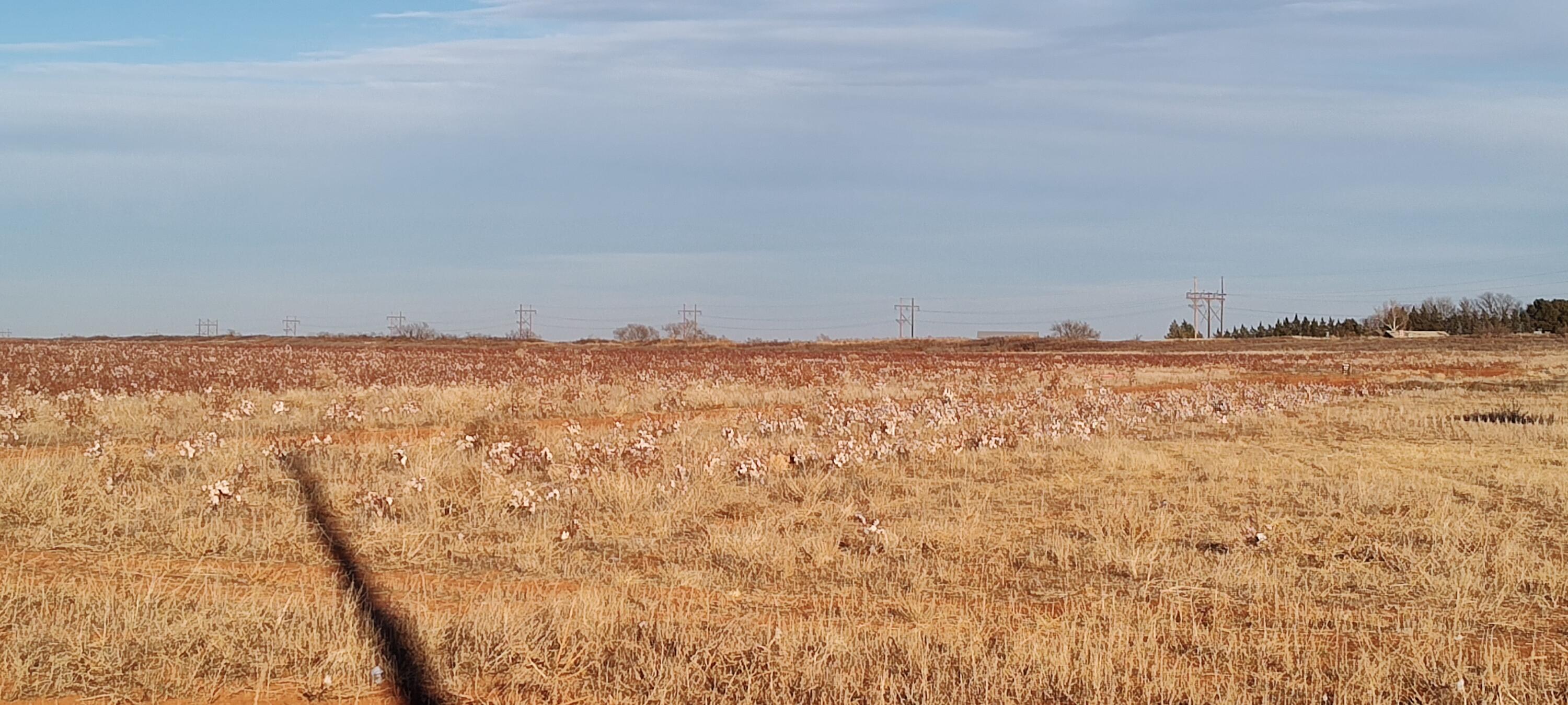 0 Lot Brownfield, TX 79316 - Photo 3 of 3 a view of ocean and covered with snow in back