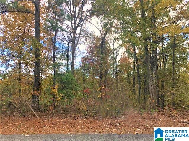 1 Perry Road, Unit 1 Vincent, AL 35178 - Photo 5 of 7
