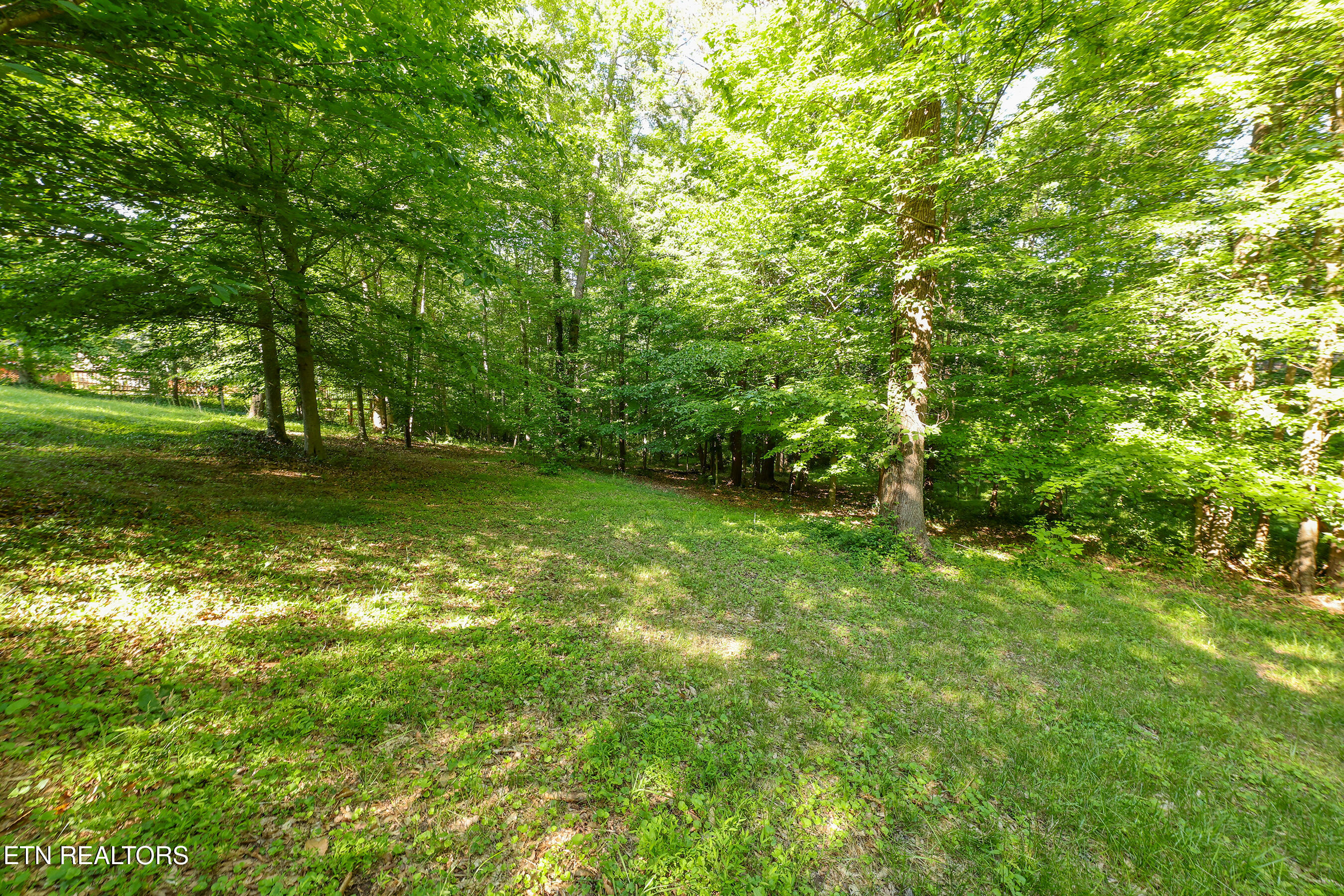 105 Claymore Lane Oak Ridge, TN 37830 - Photo 53 of 55 backyard 1