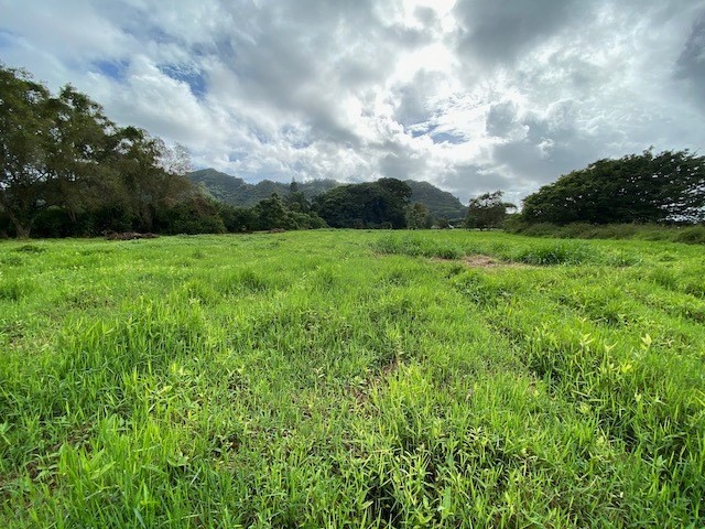 628 Puuopae Road Kapaa, HI 96746 - Photo 7 of 10 Gallery Image 7