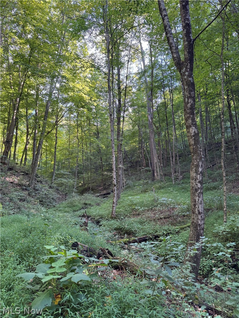 53520 Trough Run Road Bellaire, OH 43906 - Photo 27 of 32 Gallery Image 27